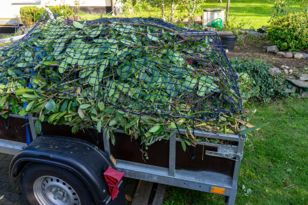 Best Carpet Removal and Disposal  in Bridgeport, CT
